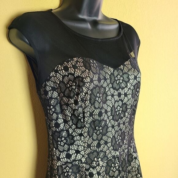 Enfocus Studio Drop Waist Lace Detailed Dress - Picture 2 of 8